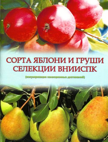 Сорта яблони и груши селекции ВНИИСПК, 2021