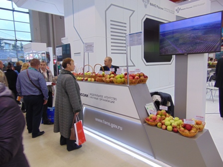 ВНИИСПК, в составе экспозиции ФАНО, принял участие в российской агропромышленной выставке «Золотая осень – 2016»