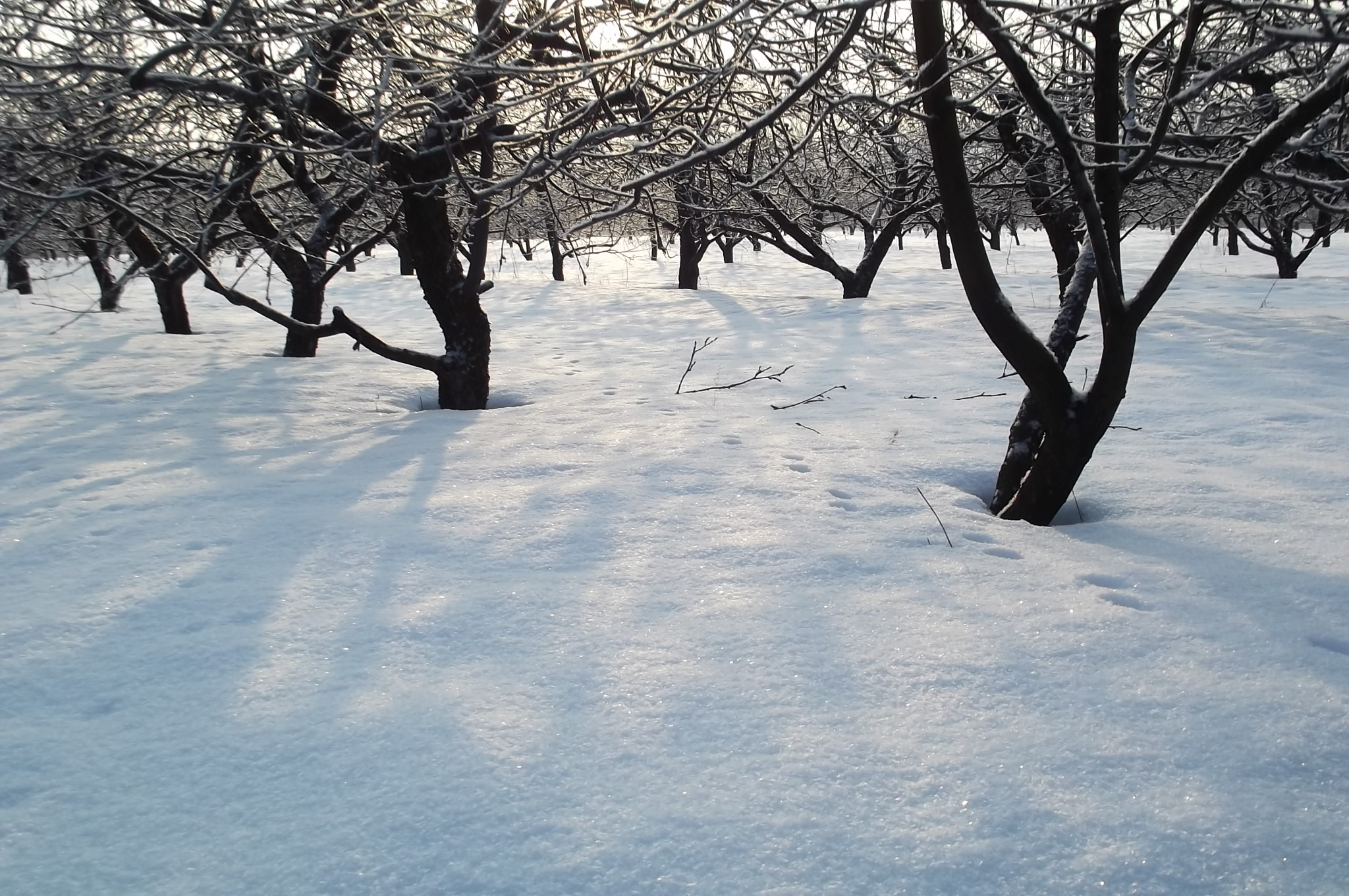 Подготовка к новому полевому сезону.
