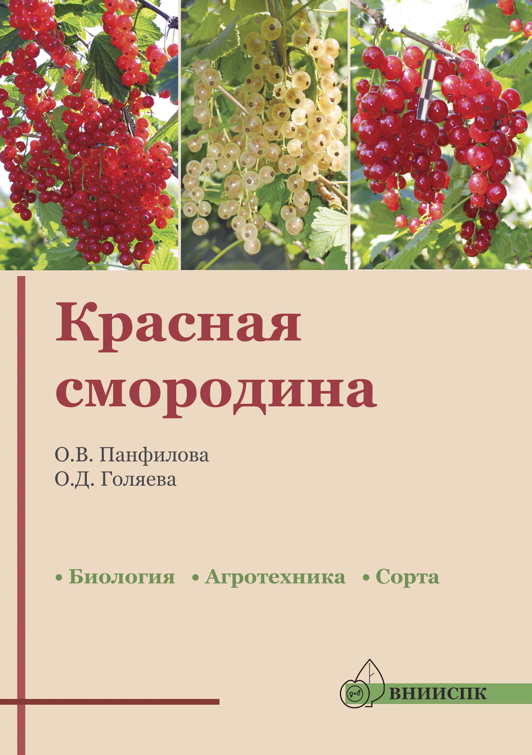 Смородина красная (биология, агротехника, сорта: рекомендации.